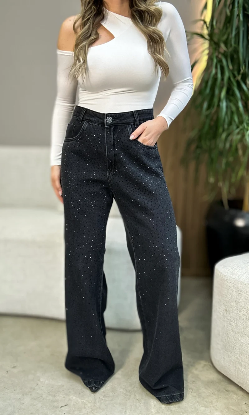 calça wide leg pedraria